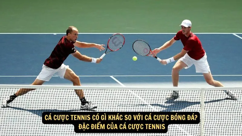 Cá cược tennis có gì khác so với cá cược bóng đá? Đặc điểm của cá cược tennis