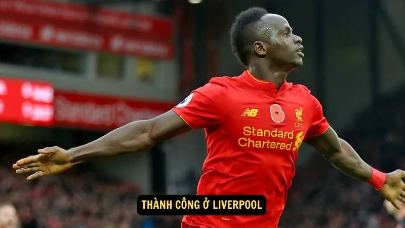 Thành công ở Liverpool