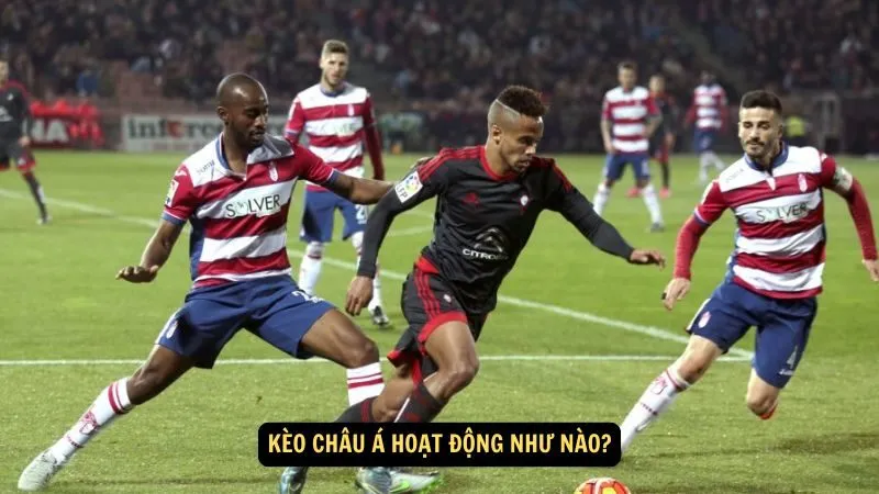 Kèo châu Á hoạt động như nào?