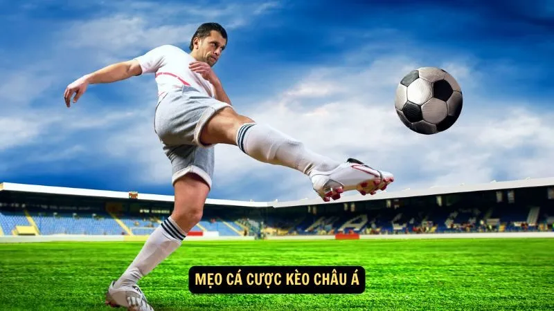 Mẹo cá cược kèo châu Á