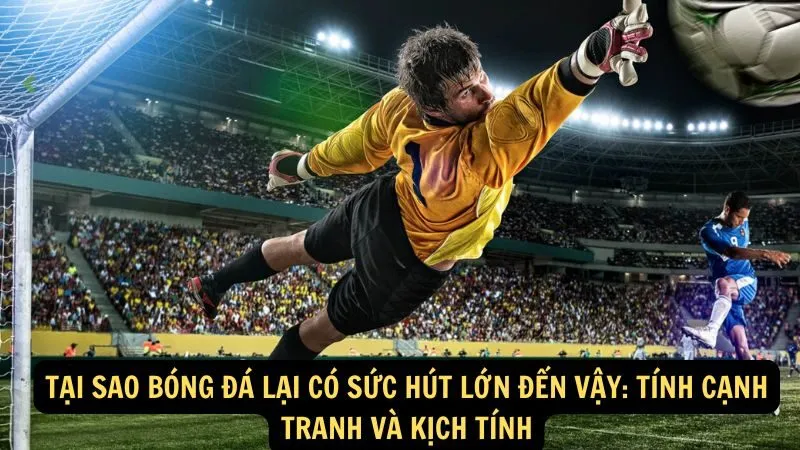 Tại sao bóng đá lại có sức hút lớn đến vậy: Tính cạnh tranh và kịch tính